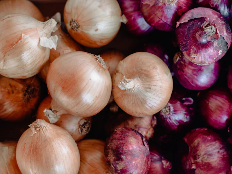 Red and white onion bulbs gathered together after harvest.